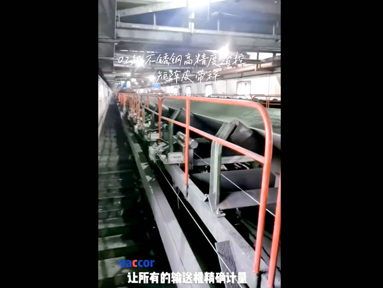 0.2級(jí)不銹鋼高精度智控矩陣...